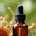 순수한 식물 원료와 증류기의 모습