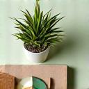 재활용 가능한 포장재와 친환경 생산 시설